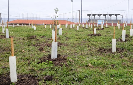 Santander planta 400 árboles conmemorando el Día Internacional de los Bosques