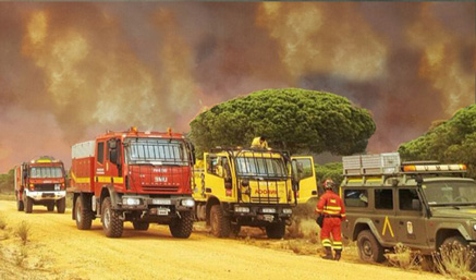 Optimismo entre los que combaten el incendio desatado en Doñaña, ya sin viento 