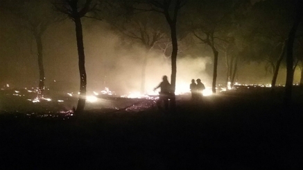 Controlado el incendio de Doñana tras tres días en llamas y la intervención de más de 200 efectivos