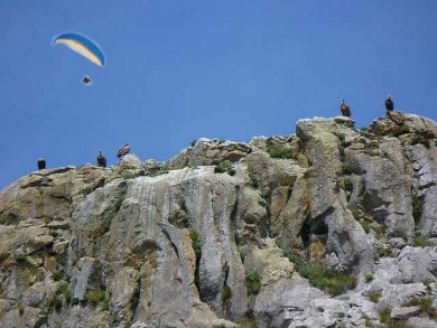 Regulado el vuelo de los parapentes en la Montaña Oriental Costera