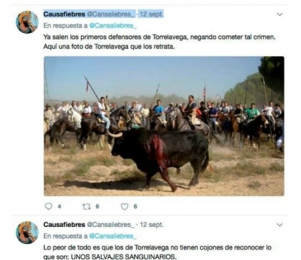 Llaman a los torrelaveguenses &quot;salvajes sanguinarios&quot; por el Toro de la Vega