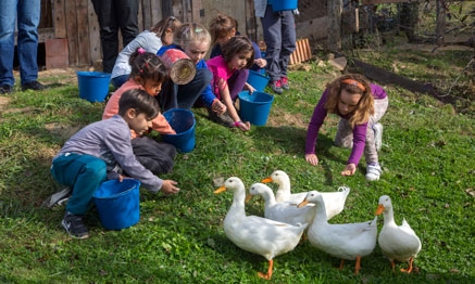 Últimos días para apuntarse en las actividades de otoño de la Granja Escuela