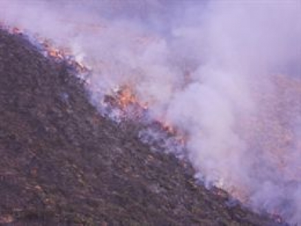 La ola de incendios deja más de 10.000 hectáreas calcinadas en Galicia