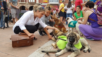 III Feria de adopción de animales, el domingo, en el parque de Las Llamas