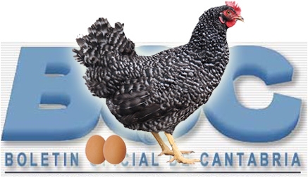 Aprobada la creación del Libro de Registro Genealógico de la gallina pedresa en Cantabria