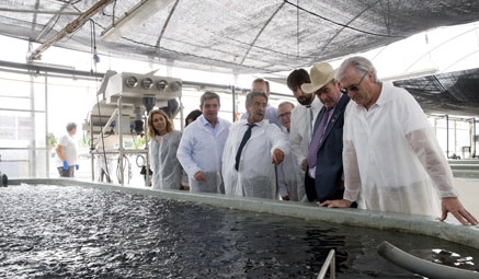 Respaldo del Gobierno a SonRíoNansa para producir pescado en cautividad 