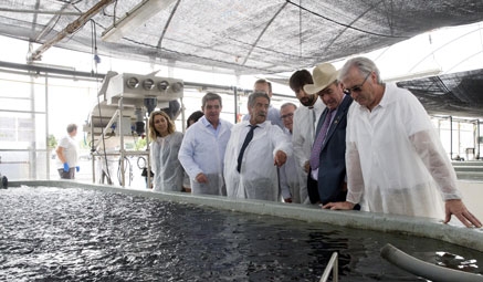 Respaldo del Gobierno a SonRíoNansa para producir pescado en cautividad