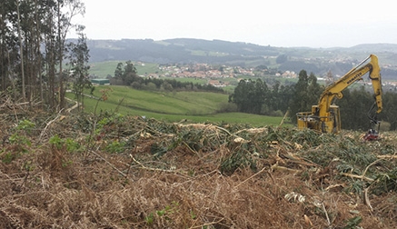 Convocadas las ayudas a la recogida de biomasa residual por un importe de 775.000 euros