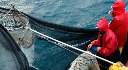 Oria de acuerdo con que cada barco pueda disponer de su parte de la cuota y consumirla a conveniencia