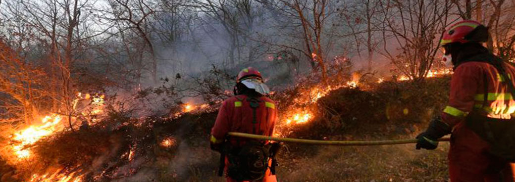 Permanecen activos 45 incendios forestales en los que trabajan más de 700 efectivos