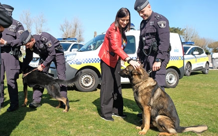 Valto y Ziro, dos perros que reforzarán las labores de vigilancia y seguridad en Santander