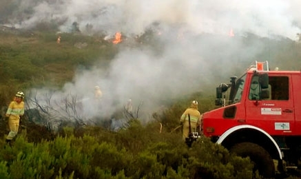 Se han provocado 12 incendios en las últimas horas de los que permanecen activos dos