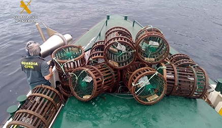 Interceptado en Pechón un pescador furtivo con más de 60 kilos de pulpos, 50 centollos y 3 bogavantes