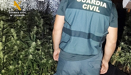 Dos detenidos por tráfico de éxtasis y cultivo de marihuana en Adal-Treto