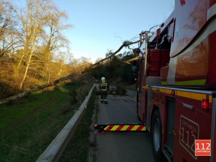 Bomberos y el 112 retiran un árbol caído sobre tendido eléctrico en la CA-363 a su paso por Valdáliga