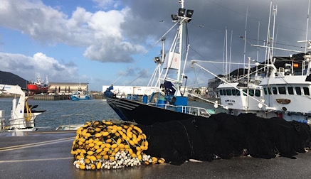 Las empresas de salazones de Cantabria no trabajarán con anchoas de otras procedencias