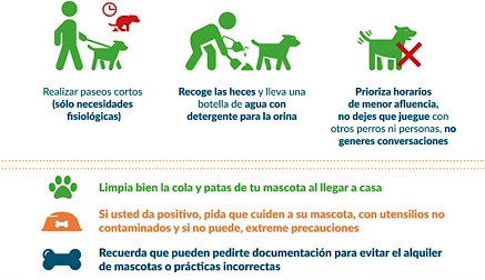 El Ayuntamiento ayudará a pacientes ingresados por coronavirus con el cuidado de sus mascotas