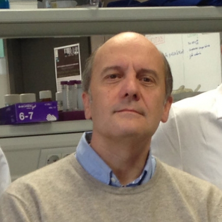 Seleccionado por el CSIC un proyecto de Piero Crespo que busca un tratamiento alternativo al coronavirus