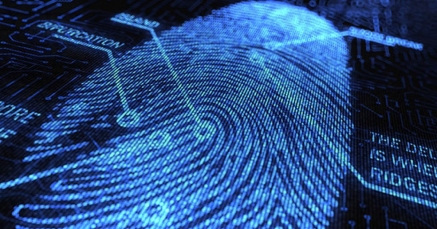 Las salidas laborales del grado en Criminología