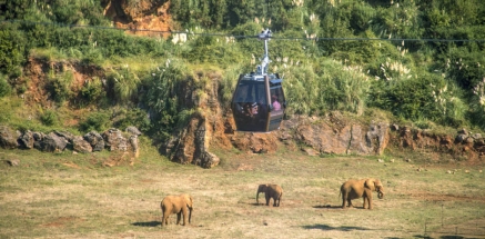Fallece un trabajador del Parque de la Naturaleza de Cabárceno tras ser golpeado por un elefante 