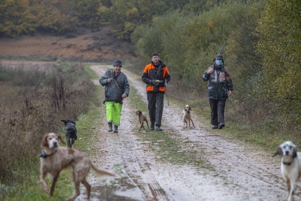 La Reserva Regional de Caza Saja aumenta de manera notable las cacerías de sorda y de liebre