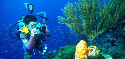 7 consejos imprescindibles para iniciarte en la fotografía subacuática