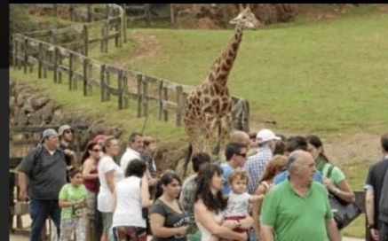 Cabarceno recibió más de 23.000 visitantes en diciembre, logrando otro récord