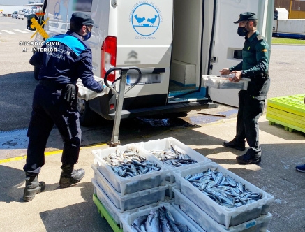 Intervenidos más de 160 kilos de pescado que carecía de justificante de compra venta y de etiquetado