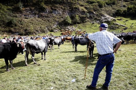 La rebaja fiscal del IRPF para los agricultores y ganaderos se eleva a 9 millones en Cantabria