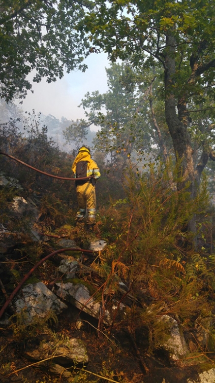 Se refuerza con medios aéreos del Ministerio los trabajos para extinguir el incendio de Sejos