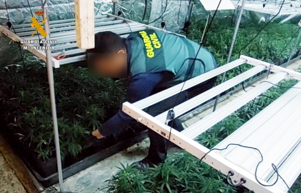 Desmantelada una plantación “indoor” en Guriezo, con 500 plantas de marihuana con la detención de una persona