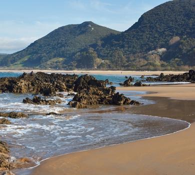 10 playas oficiales para ir con perros en Cantabria