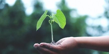 España preocupada por el repentino cambio ambiental